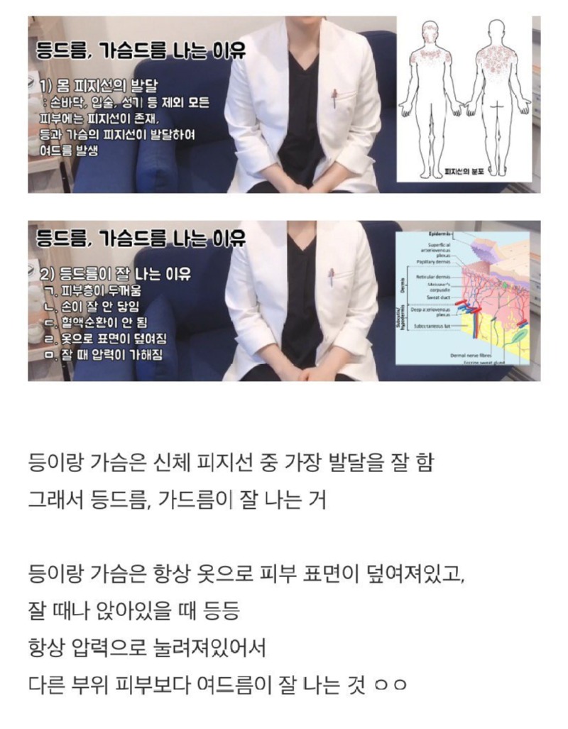 등드름 가드름