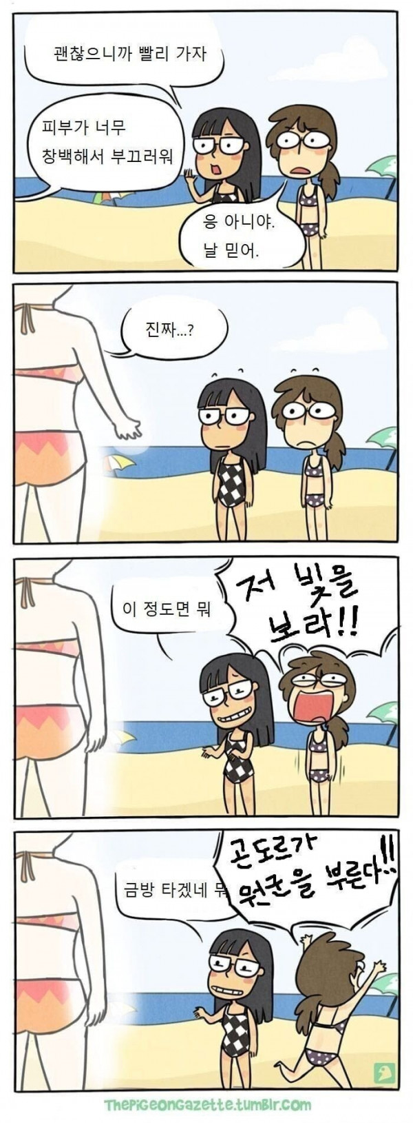 아일랜드 1