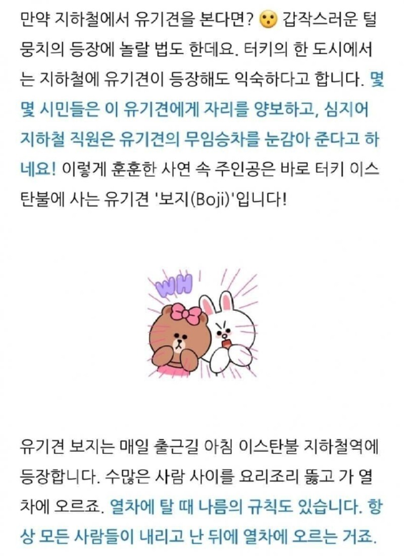 국내 보x 모음 16.jpg