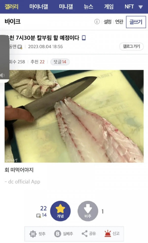 춘천 칼부림.jpg