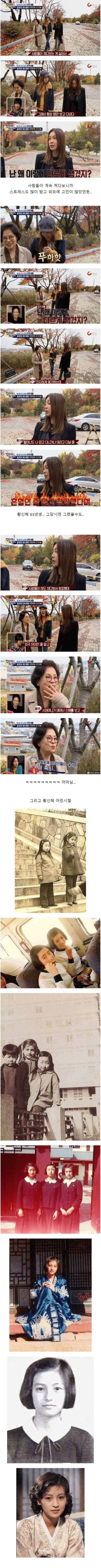 황신혜 연예인.png